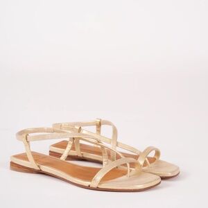 COCLICO FROND SANDAL NEW WITH BOX